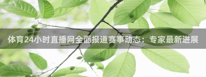 nba直播极速体育直：体育24小时直播网全面报道赛事动态：专家最新进展