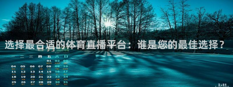 体育吧极速体育直播免费观看：选择最合适的体育直播平台：谁是您的最佳选择？