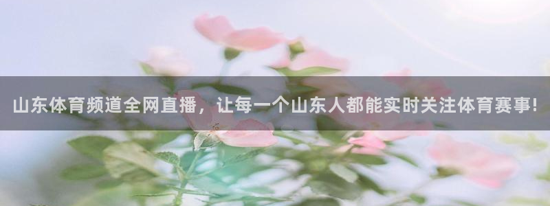 nba体育极速直播体育：山东体育频道全网直播，让每一个山东人都能实时关注体育赛事!
