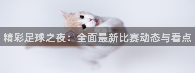 极速体育nba直播吧：精彩足球之夜：全面最新比赛动态与看点