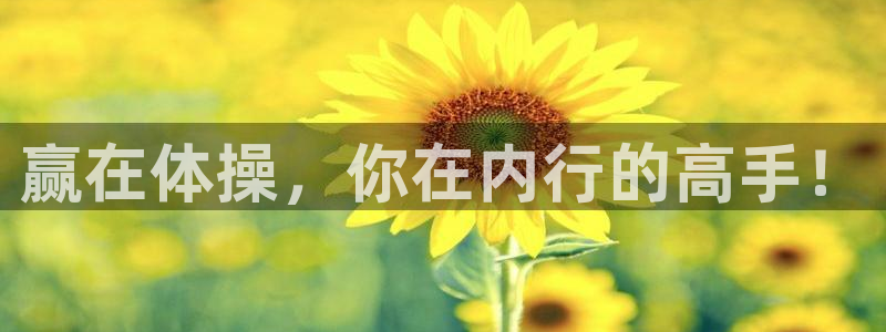 极速体育直播吧：赢在体操，你在内行的高手！