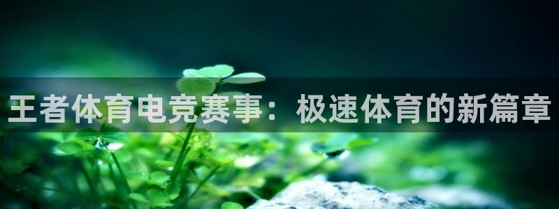 nba篮球直播极速体育