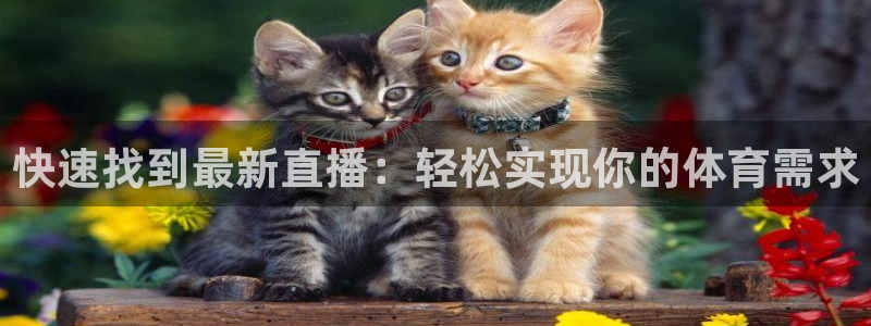 极速体育看球直播：快速找到最新直播：轻松实现你的体育需求