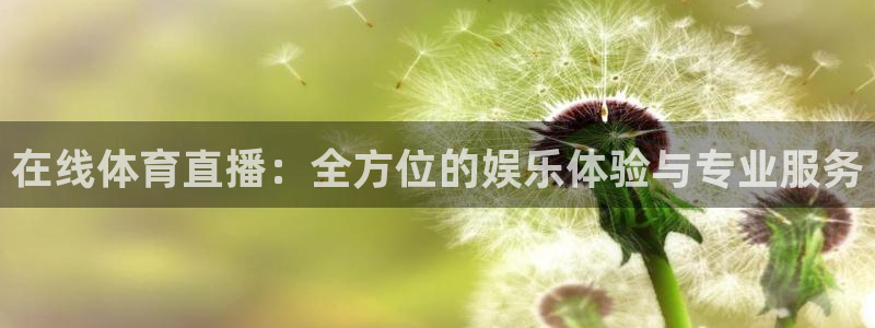 球播nba直播极速体育球播：在线体育直播：全方位的娱乐体验与专业服务