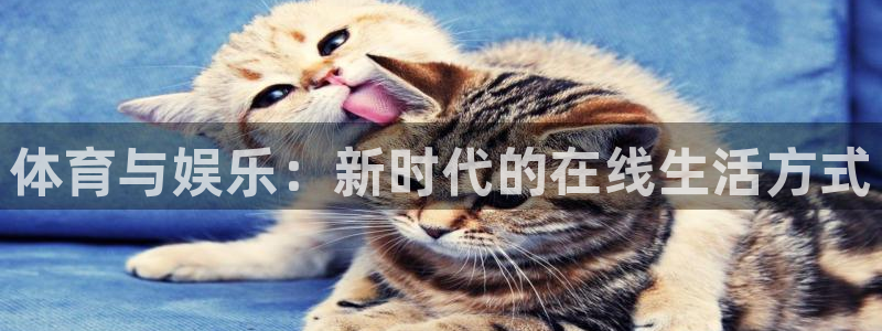 nba在线直播吧极速体育：体育与娱乐：新时代的在线生活方式