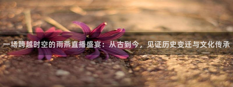 极速体育免费直播在线观看：一场跨越时空的雨燕直播盛宴：从古到今，见证历史变迁与文化传承