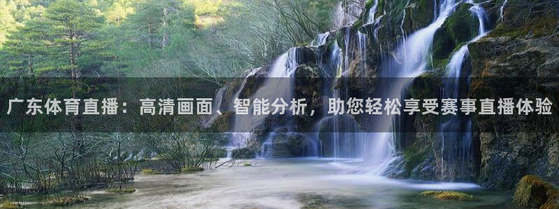 足球比赛直播 极速体育：广东体育直播：高清画面、智能分析，助您轻松享受赛事直播体验