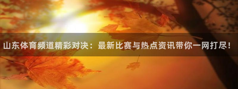 极速体育篮球直播吧