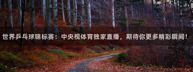 nba直播极速体育吧：世界乒乓球锦标赛：中央视体育独家直播，期待你更多精彩瞬间！